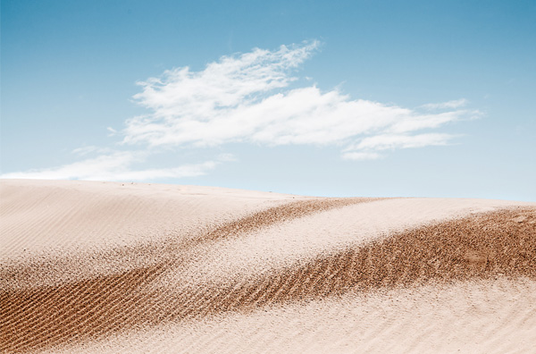 Dunes in Denmark
